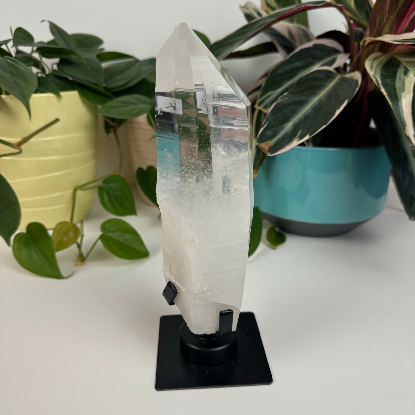 Incredible Lemurian Quartz (W/ Custom Stand) - K