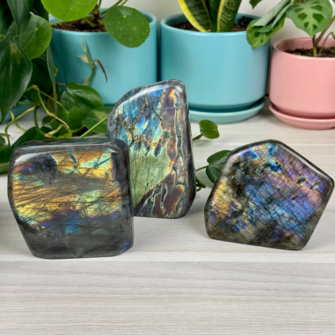 Intuitively Picked Labradorite Free Form