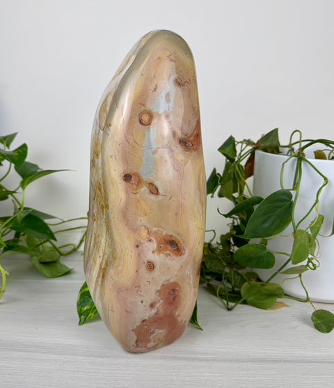 XL Polychrome Jasper Free Form
