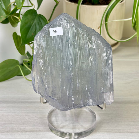 Bicolour Kunzite