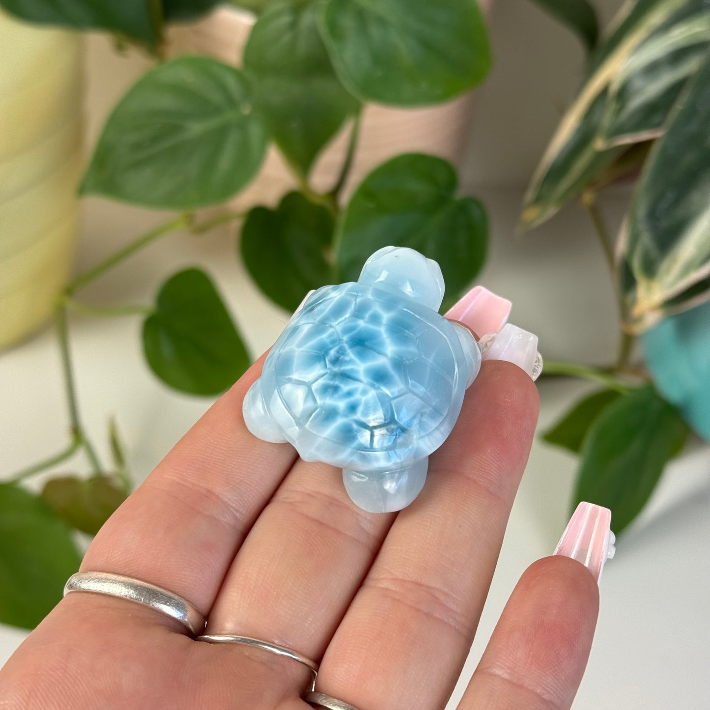 Medium Larimar Turtle