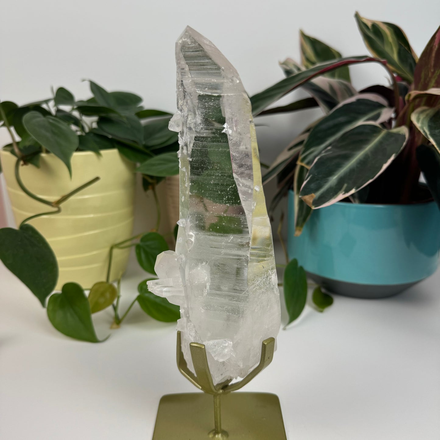 Incredible Lemurian Quartz (W/ Custom Stand) - J