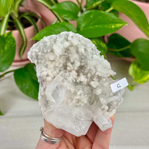 Sparkling White Chalcedony With Apophyllite