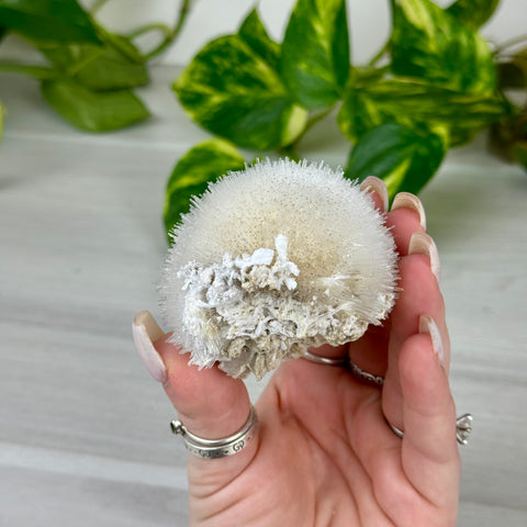 Mesolite Snowball Specimen