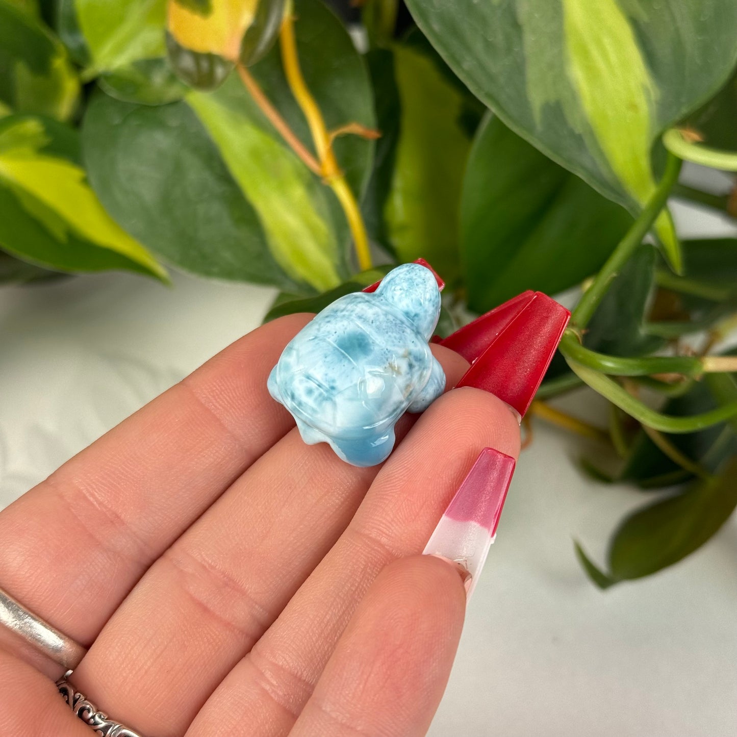 Mini Larimar Turtle