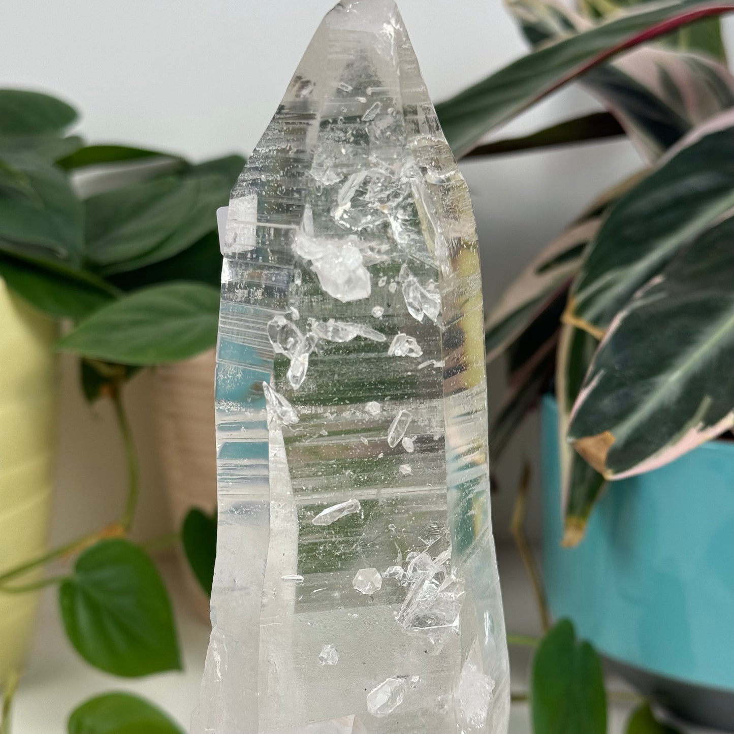 Incredible Lemurian Quartz (W/ Custom Stand) - J