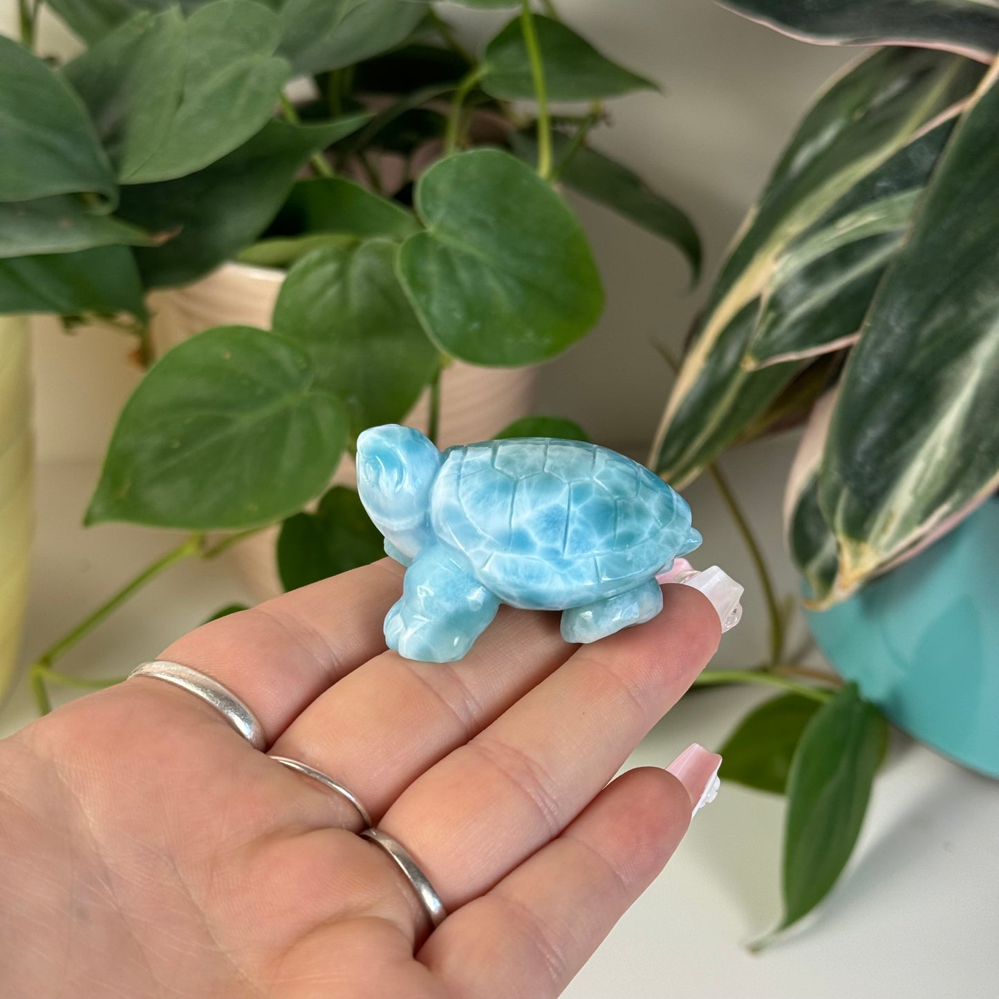 Large Larimar Turtle - I