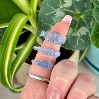 Aquamarine Fish Bone