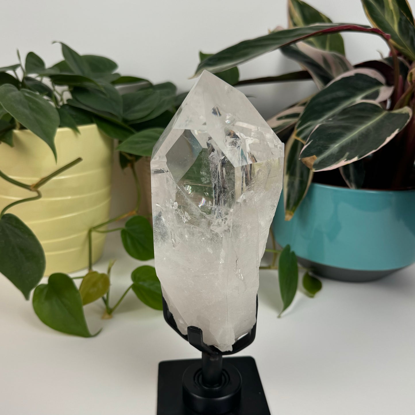 Incredible Lemurian Quartz (W/ Custom Stand) - C