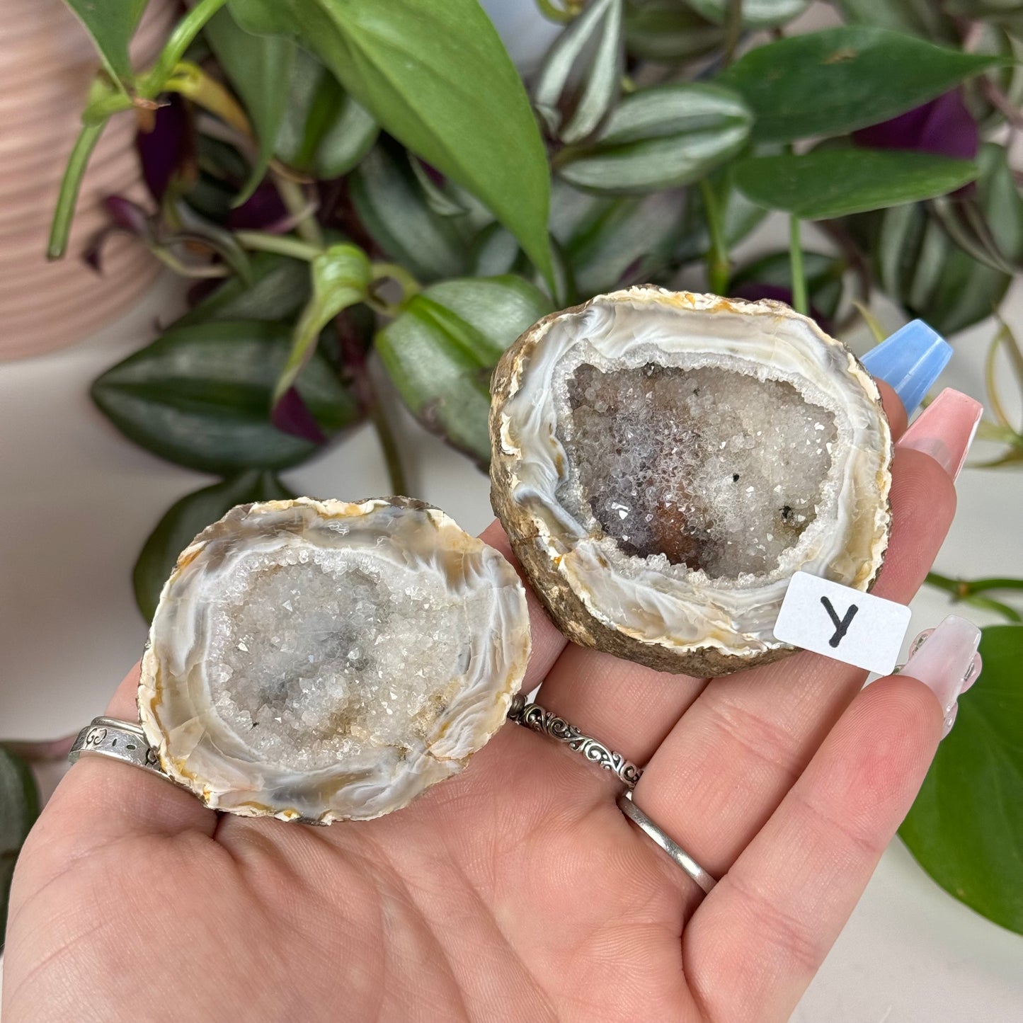 Druzy Agate Geode Pair