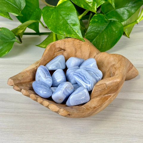 Blue Lace Agate Tumble 22 - AA 3 - Kenna's Crystals from TikTok