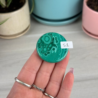 Malachite Cookie - S2
