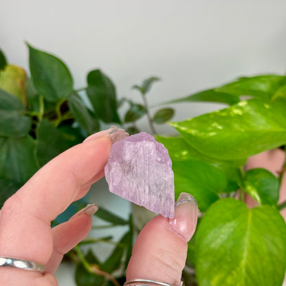 Mawi Pegmatite Kunzite Specimen