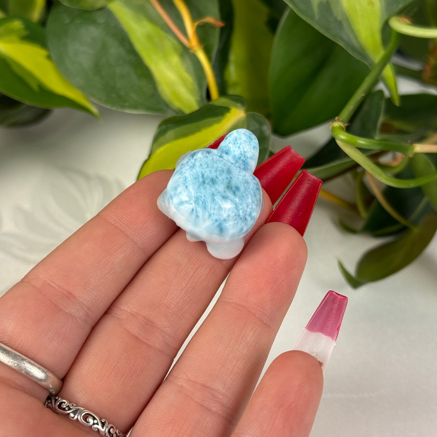 Mini Larimar Turtle