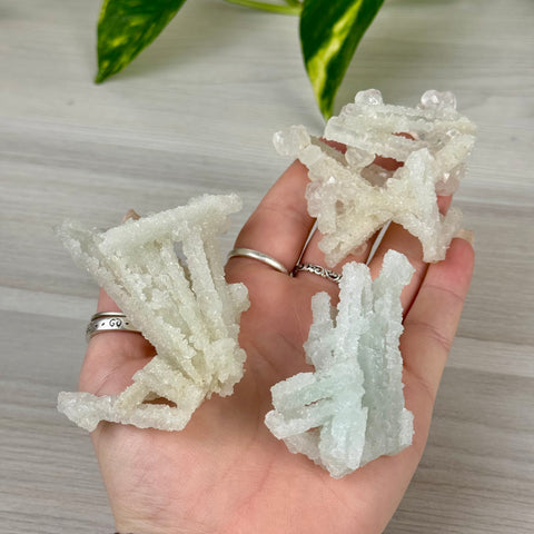 Frozen Key Lime Prehnite Specimen