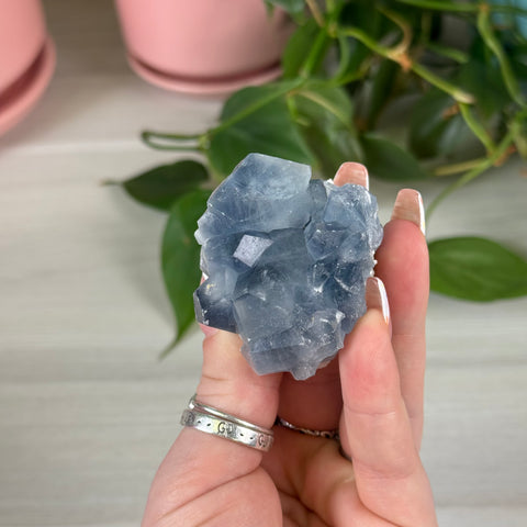 Celestite With Calcite Specimen