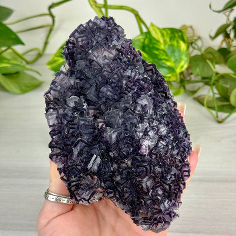Black Warrior Fluorite