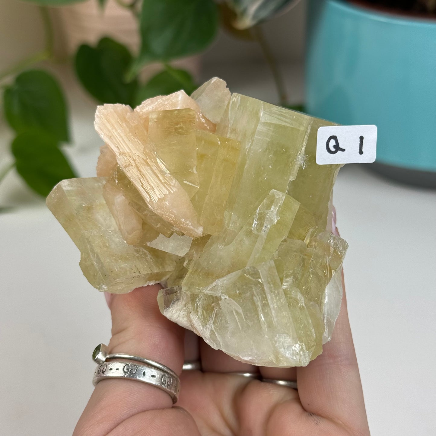 Green Apple Apophyllite