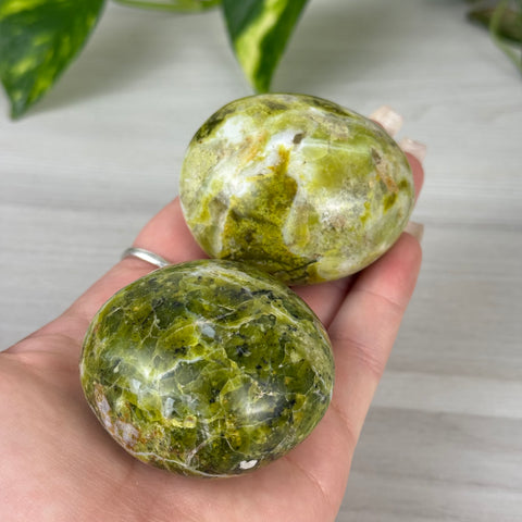 Green Opal Palm Stone