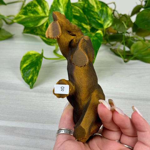 Extremely Detailed Tiger's Eye Carving - Bertholdt