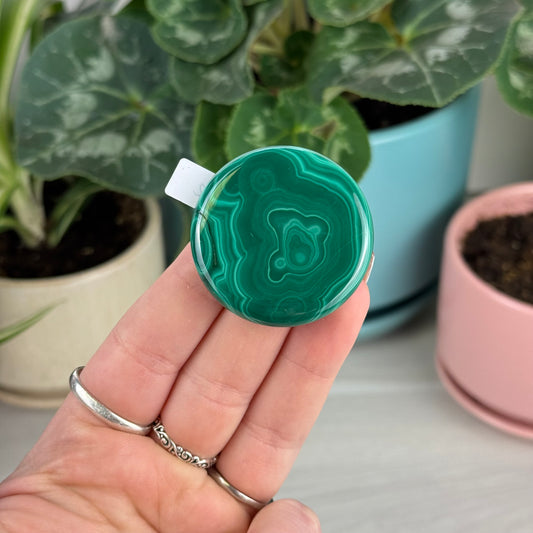 Malachite Cookie - F2