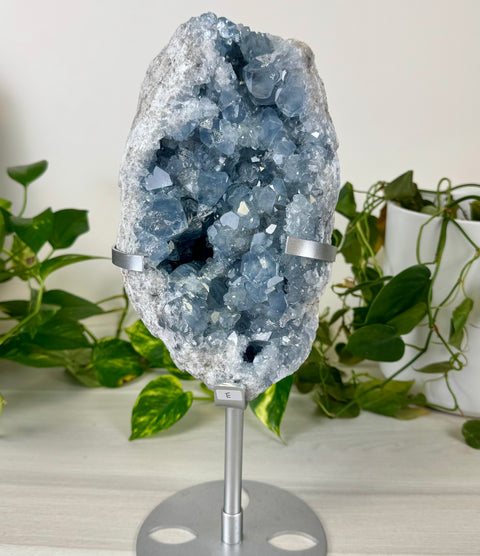 Glacier Blue Celestite Geode (W/ Custom Stand)