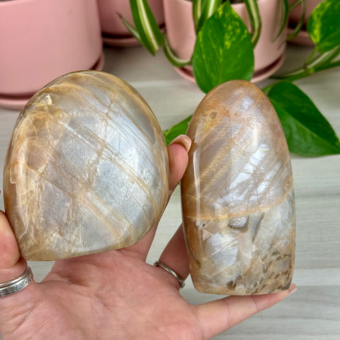 Peach Moonstone Free Form