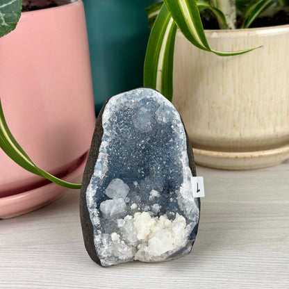 Mordenite/Okenite In Geode