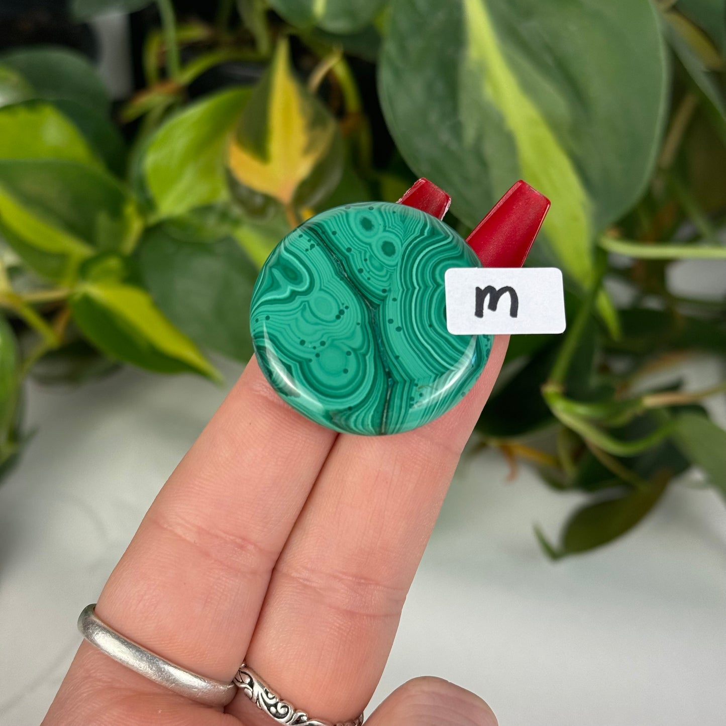 Mini Malachite Cookie