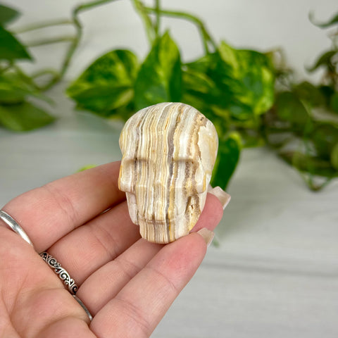 Mini Crazy Lace Agate Skull