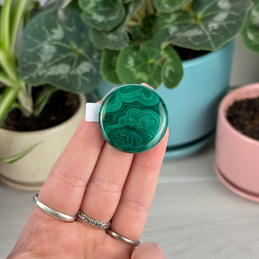 Malachite Cookie - U2