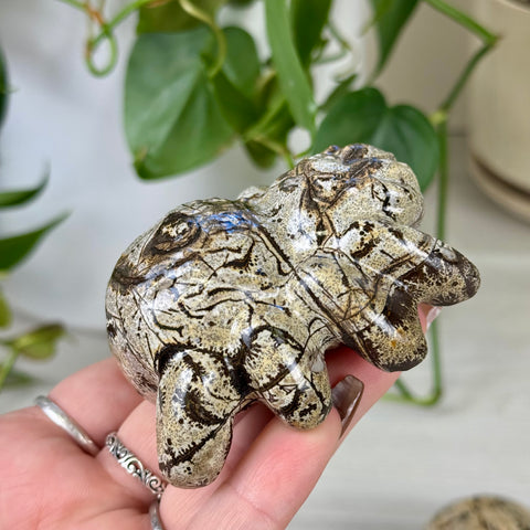 Painting Stone Spider