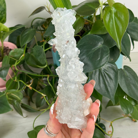 Stalactite Specimen