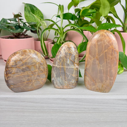 Peach Moonstone Free Form