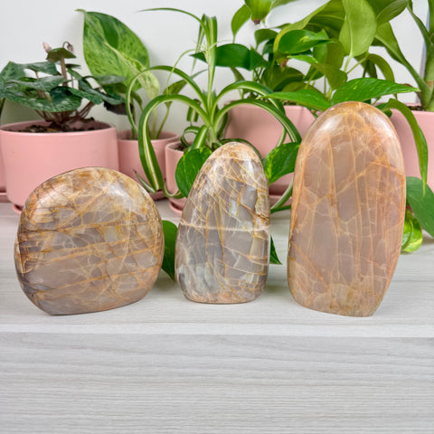 Peach Moonstone Free Form