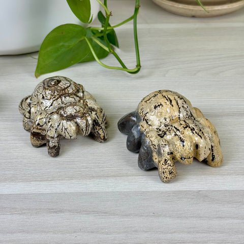 Painting Stone Spider
