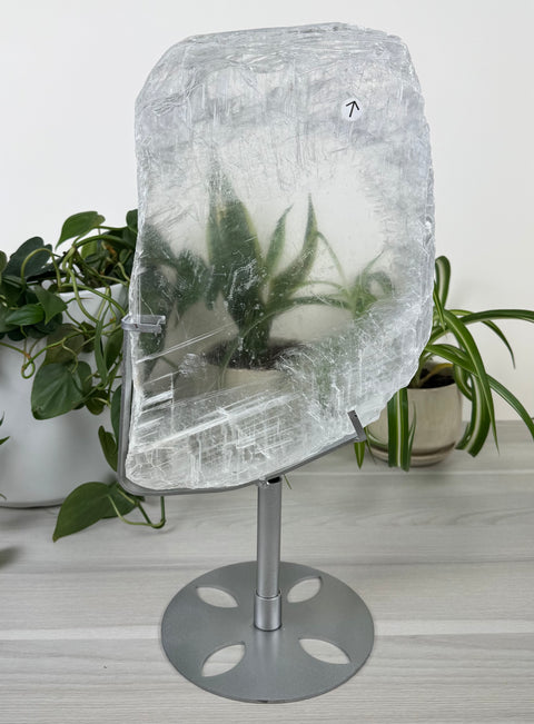 Enhydro Selenite Slab (W/ Custom Stand)