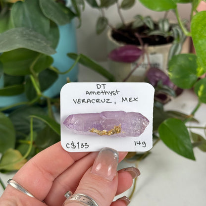 Veracruz Amethyst DT Point
