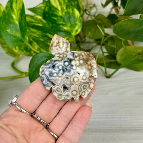 Ocean Jasper Turtle Carving