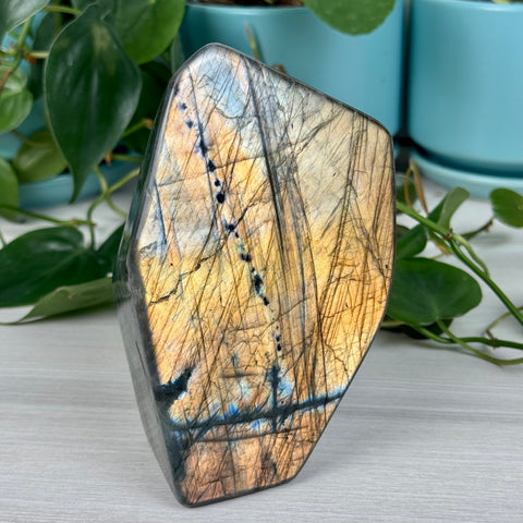 Intuitively Picked Labradorite Free Form