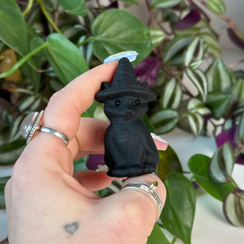 Obsidian Witch Cat