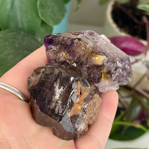 Enhydro Shangaan Amethyst