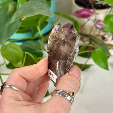 Shangaan Amethyst