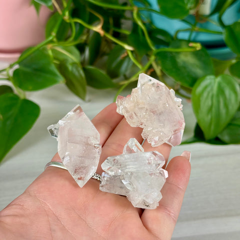 Apophyllite Cluster