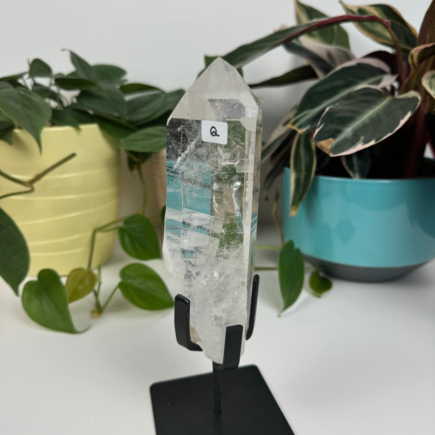 Incredible Lemurian Quartz (W/ Custom Stand) - Q