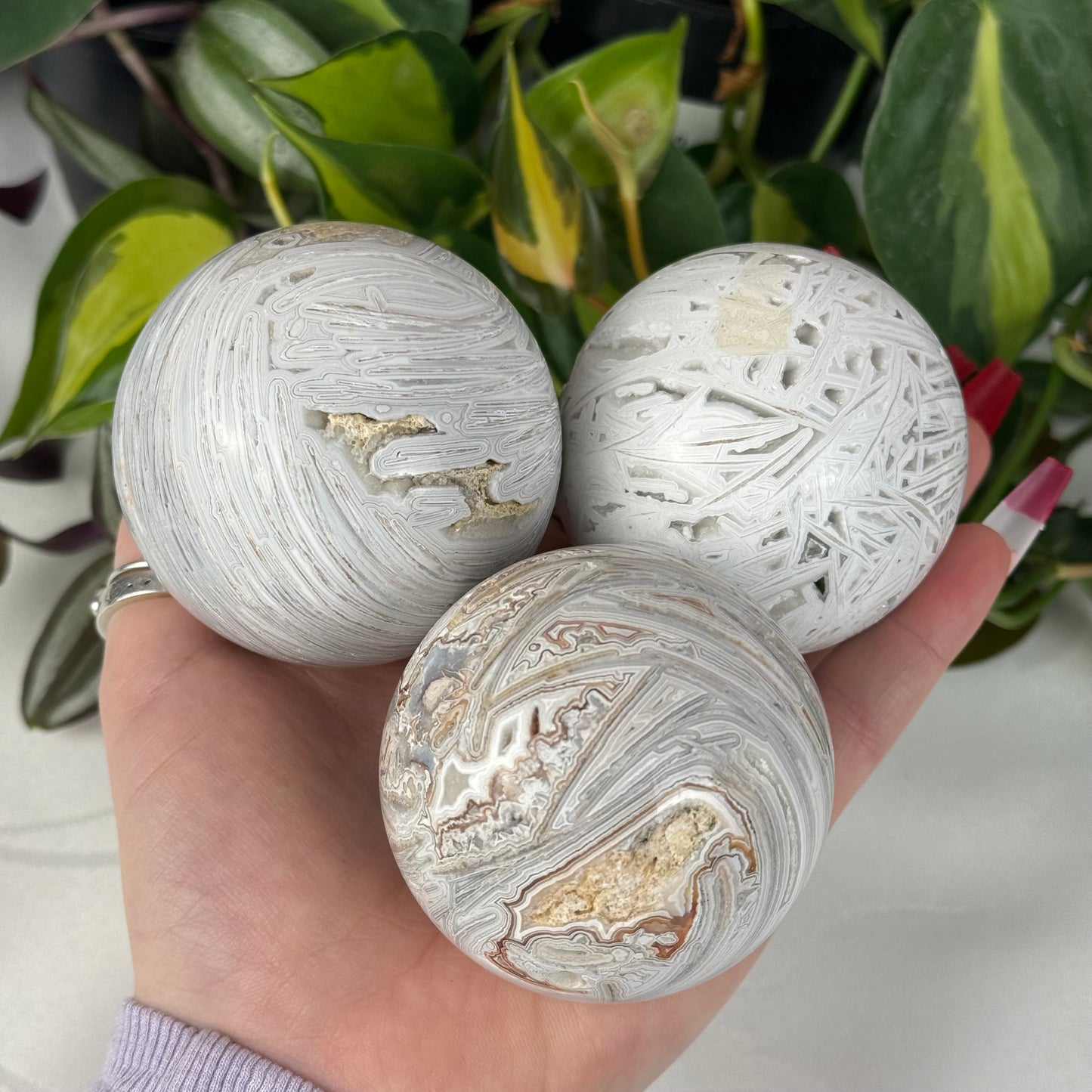 Snowy Crazy Lace Agate Sphere