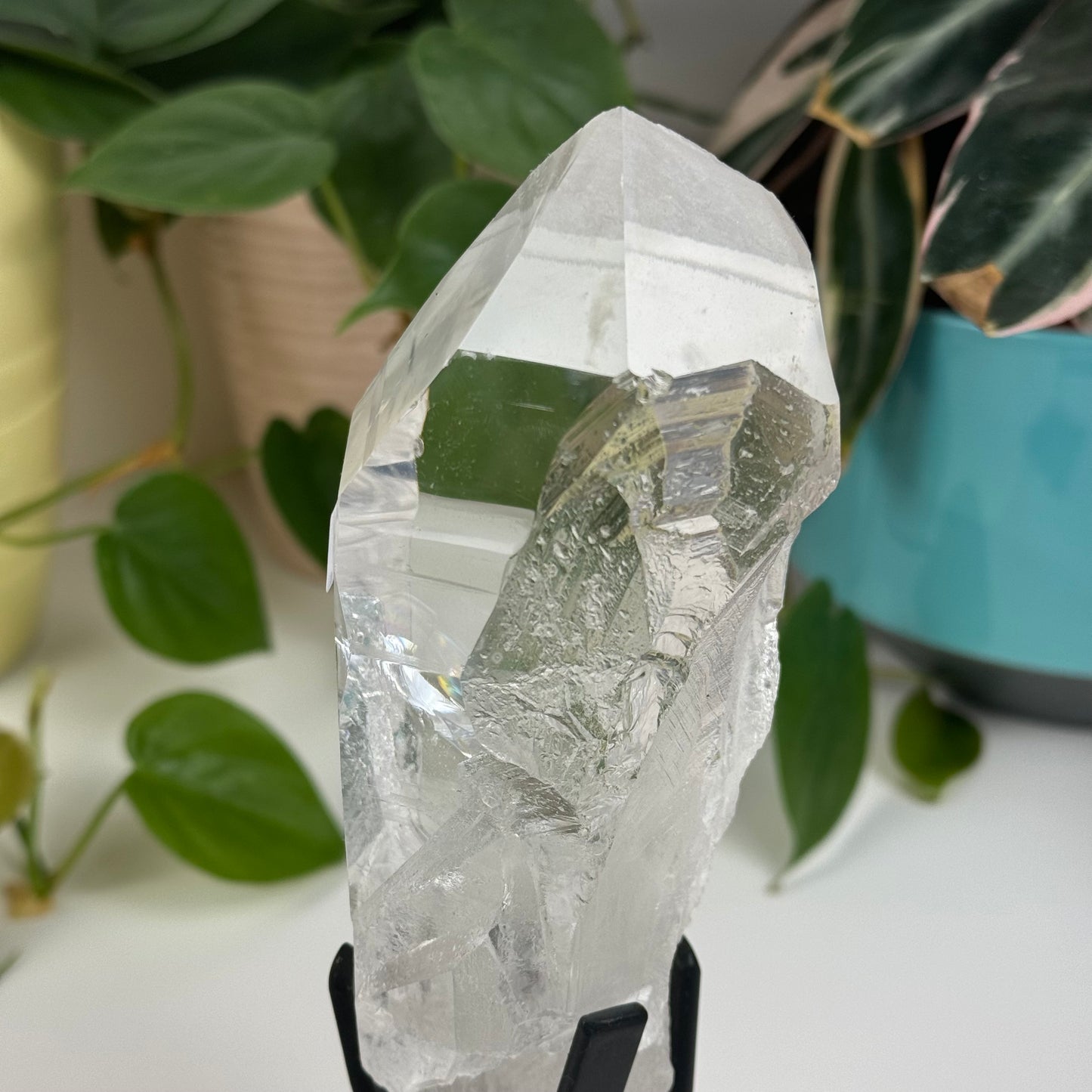 Incredible Lemurian Quartz (W/ Custom Stand) - O