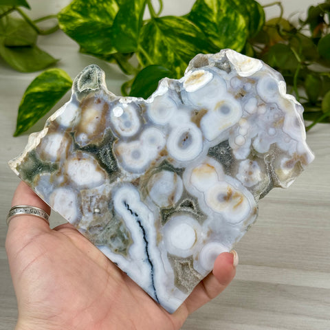 Ocean Jasper Slab