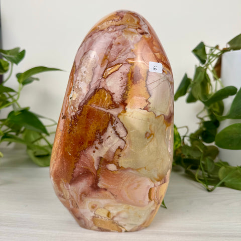 XL Polychrome Jasper Free Form