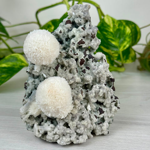 Mordenite Snowballs On Matrix Specimen